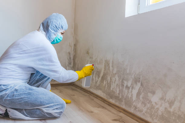 Bathroom Mold Removal assessment in Goodyear bathroom